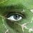 chloroearth's profile image