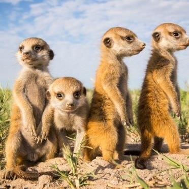 Corne8921379's profile picture. 