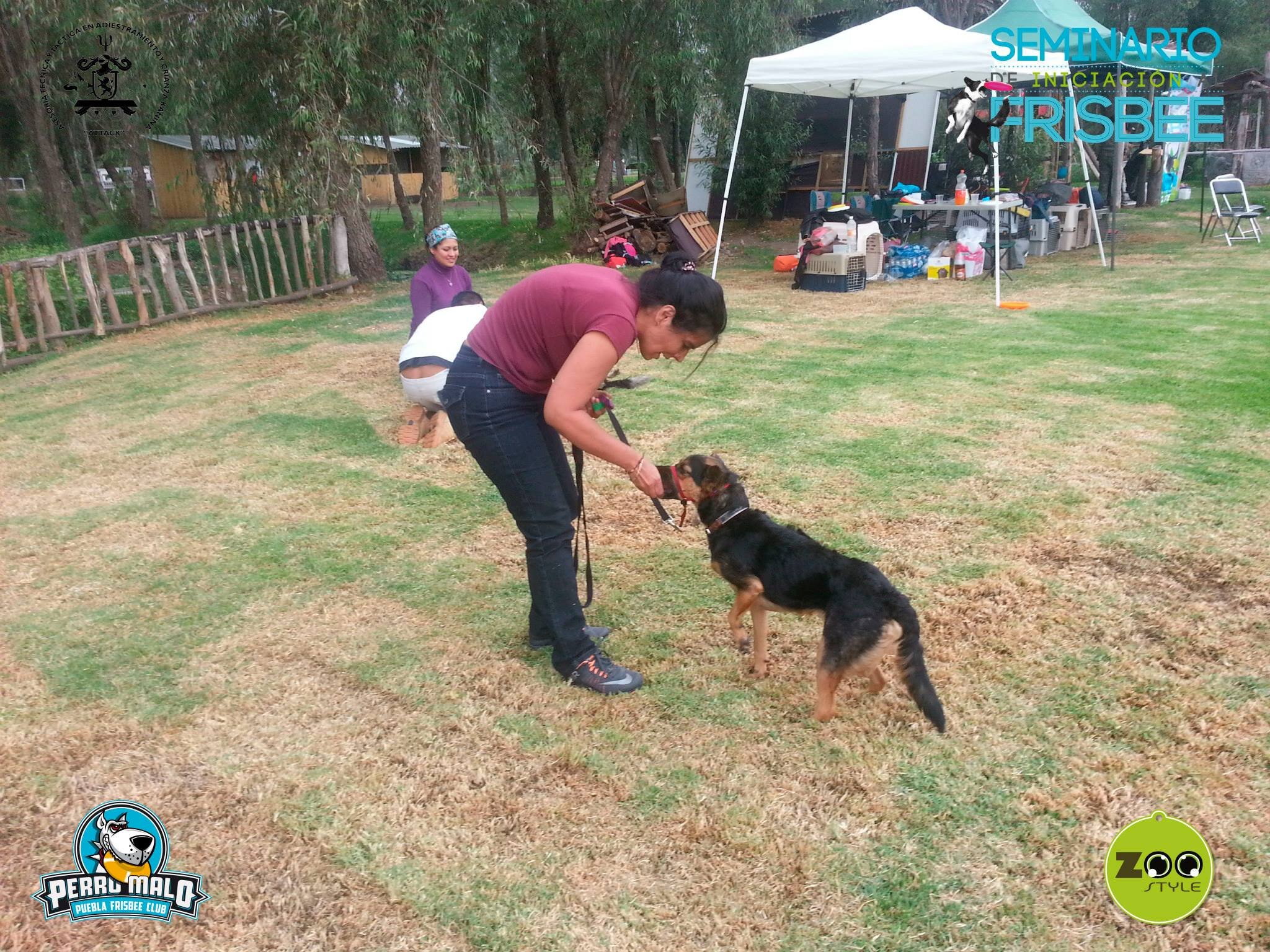 Psicóloga. Me encantan los perros y me fascina nadar