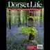 DorsetLifeToo (@dorsetlifetoo) Twitter profile photo