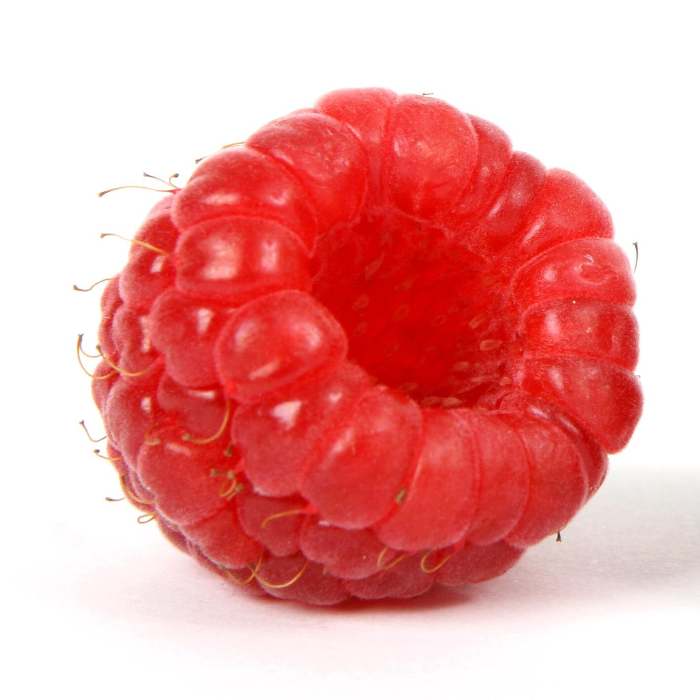 heidisioen's profile picture. 