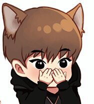 Kitty!Au さんのプロフィール画像