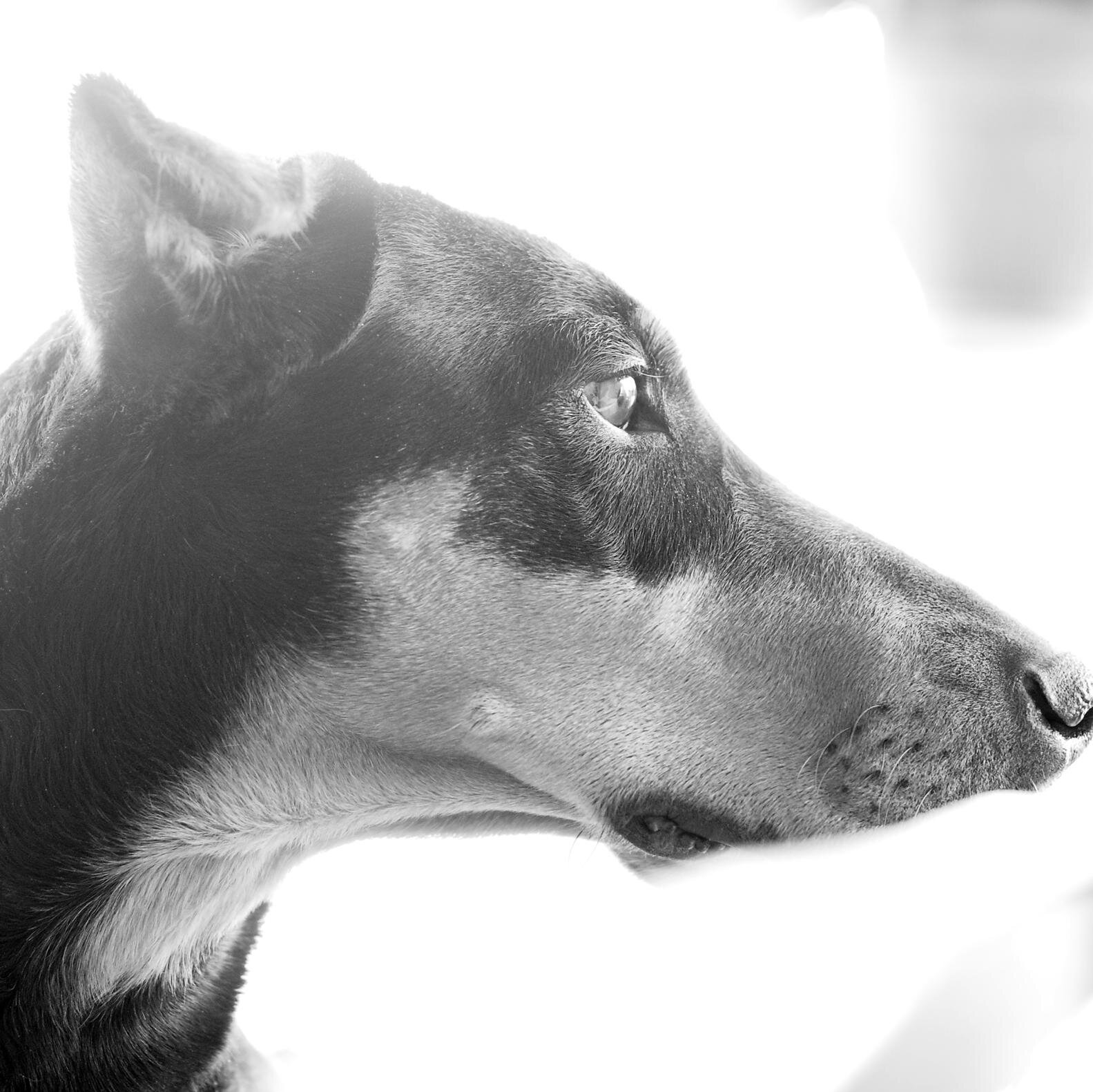 sarupu's profile picture. İlgisiz bilgi ve istenmeyen tavsiye madeni https://t.co/mKODPrcg0r of büyük büyük konuşmayı çok seviyorum.