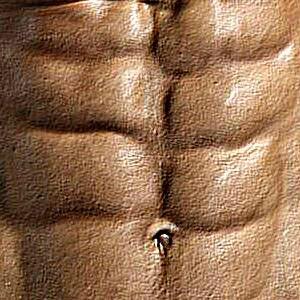 TransformedBods's profile picture. Motivational Health and Fitness Account | Body Transformation Progress and Results | Start Your Transformation Today