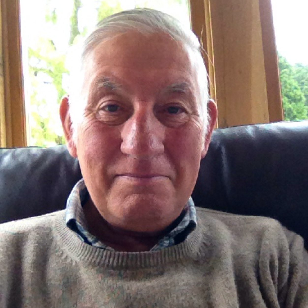 DM_Bridge's profile picture. 