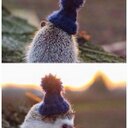 Ernest Marx - @Emarx26Marx - Twitter