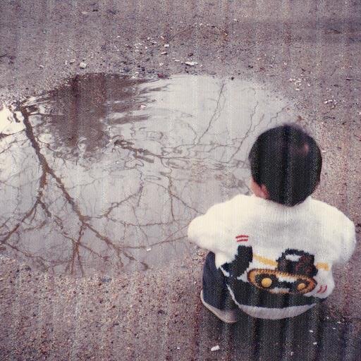 菜穂子