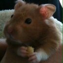 eleanor holmes - @nelfin11 - Twitter