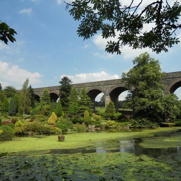 Exciting and affordable cycling journeys with a difference.

Re-live a journey along the Somerset & Dorset ...by bike. Britain's most loved and lamented railway
