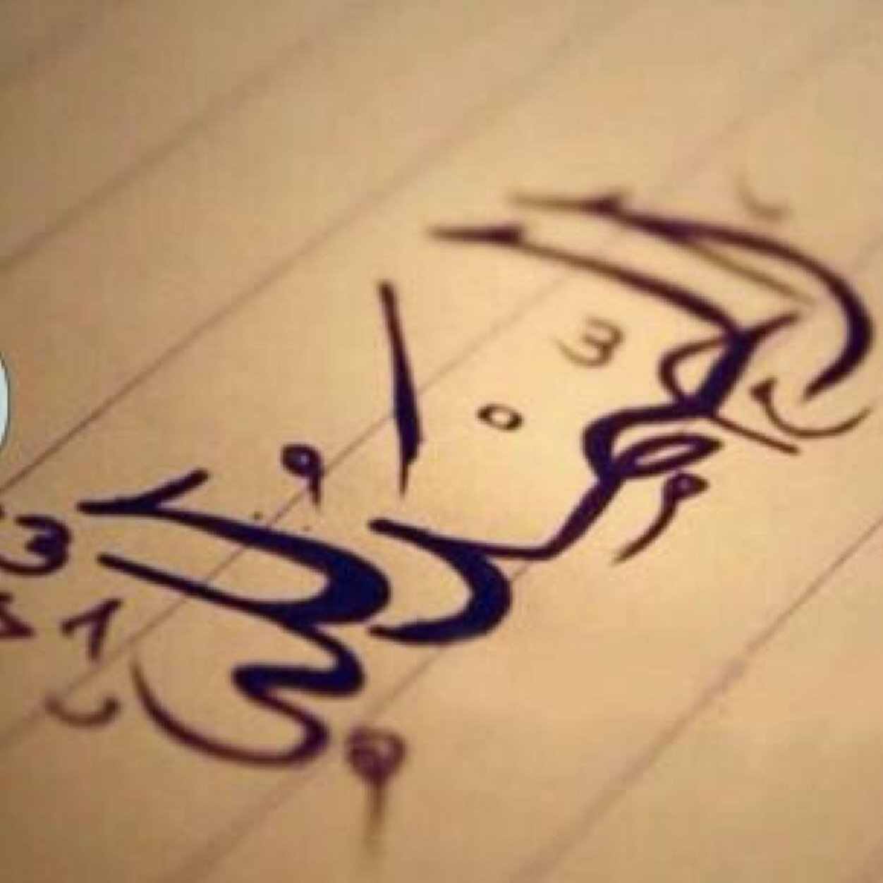 t00t42's profile picture. 