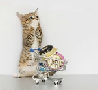 successup04's profile picture. 時間があいたらいつもネットで買い物をしていま～す！とにかく大好きで～す(#^.^#)　時々仕事中にも．．．．．悪い子ちゃんで～す(^^)/