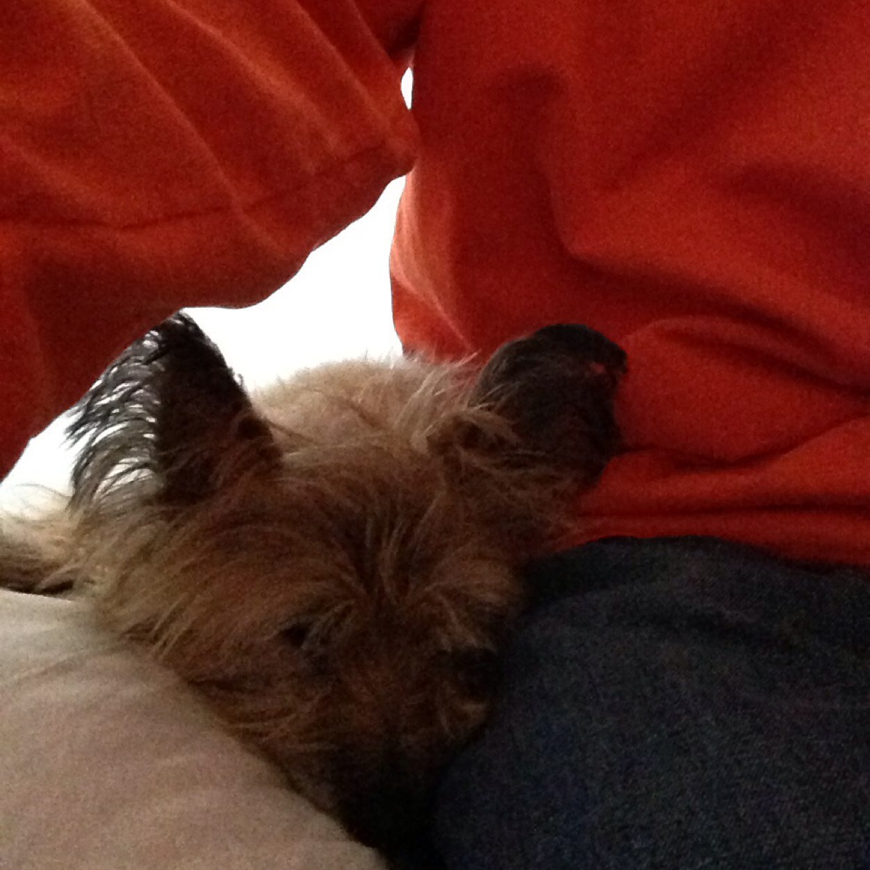 itFINKles's profile picture. Family, Peace, Golf, #cowboysnation, #MUFC, #IlliniNation. That is all