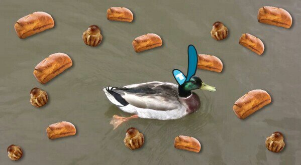 DoItForDemDucks's profile picture. Just Do it for the Ducks.                                                                          *Original Account*