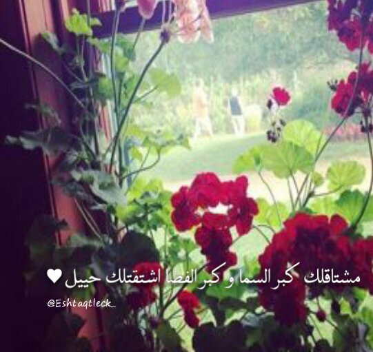 ‏‏‏‏اشتقت لك يالي طول غيابك..                                                  Kik:Eshtqtleck_