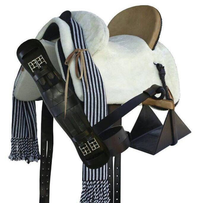 Europe Saddlery has been dedicated towards production of the Best Quality Equestrian Products to its customers across the world.