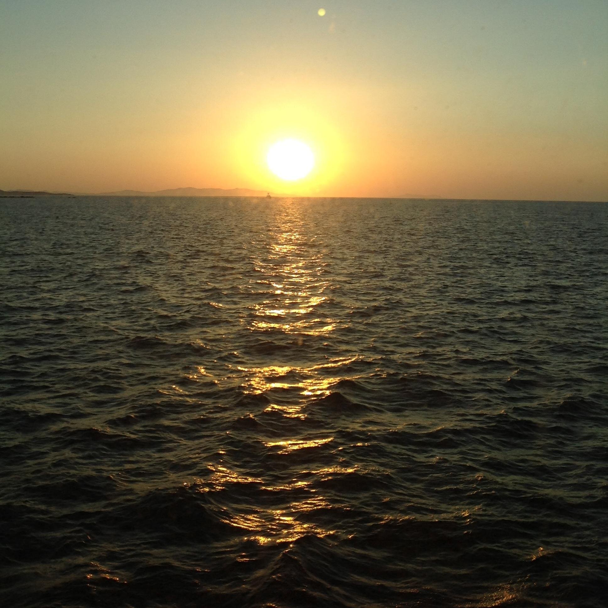 culpepper9107's profile picture. 