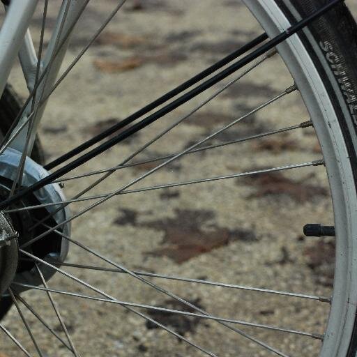 Vélotaf, vélos spéciaux, cyclotourisme et randonnées, vélo-école, mécanique vélo, faire ses courses à vélo. Bref, le vélo dans tous ses états !