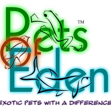 Pets Of Eden - Breed / Supply and Stock only the highest quality products and healthiest animals in the Exotic Pet Industry. Specializing in various pets.