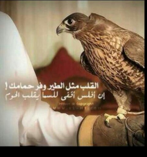 la7h77soha1901's profile picture. ‏ﻻتنظرالي الماضي فتحزن ..ولاتخاف من المستقبل ف تفشل *; اترك همومك ف تفرح وتوكل ع ربك فتفلح..