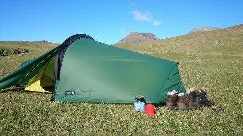 Fiona McCrohan Profile