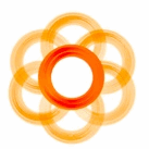 The Connell Group Profile