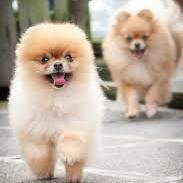 salsal25's profile picture. 