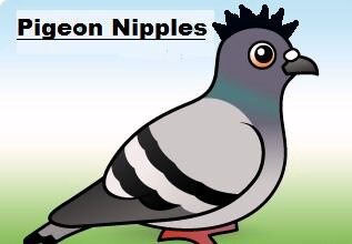 Amateur you tuber doing all things gaming i am here purely to entertain 
Kind regards.
Pigeon nipples