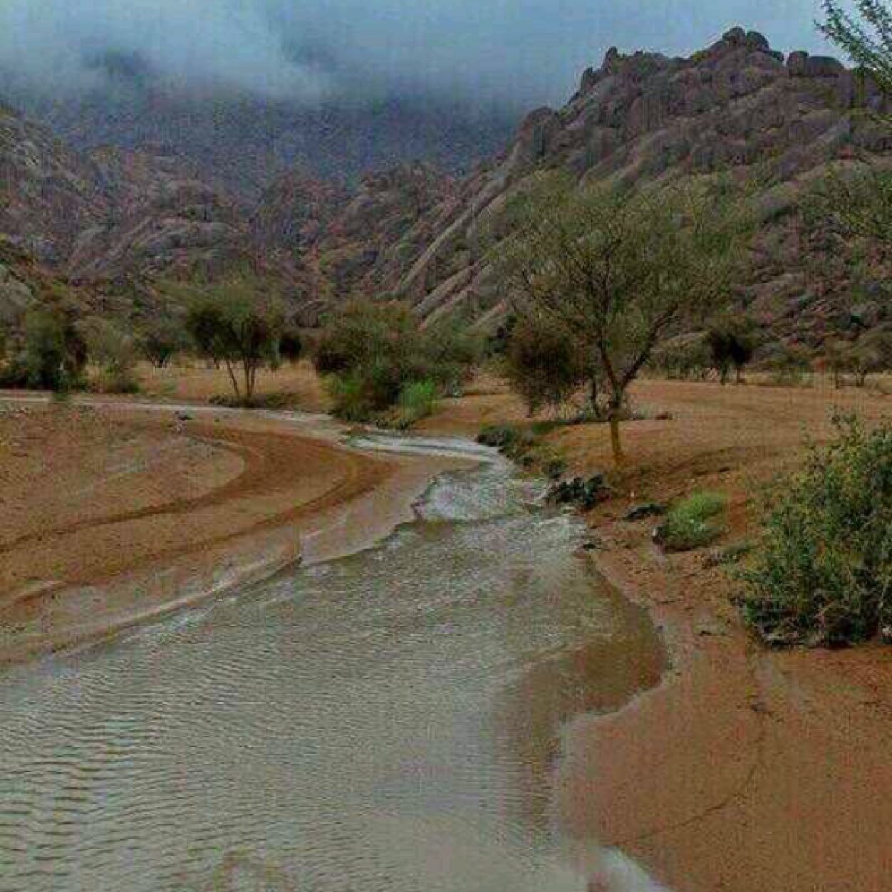 asnet008's profile picture.