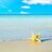 rd25_rh's profile image