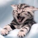 brigitte ramirez - @twilight0fan - Twitter