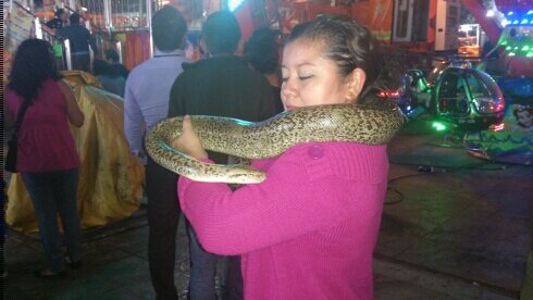 BabyHas's profile picture. Lic. en Lengua y Literatura Hispanoamericana, mujer emprendedora, soñadora y profesional.