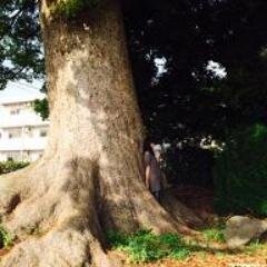 まつもとまなみ Mana25mi Twitter