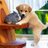 sophiad58594283's profile image
