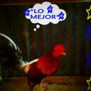 salvador marino - @salvador_888 - Twitter