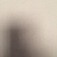 Alejandro Guerrero (@alejandroguar) 's Twitter Profile Photo