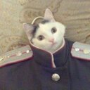чуки пуки (@11xer11) Twitter