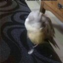 David Borrego Santia - @DavidBorregoSan - Twitter