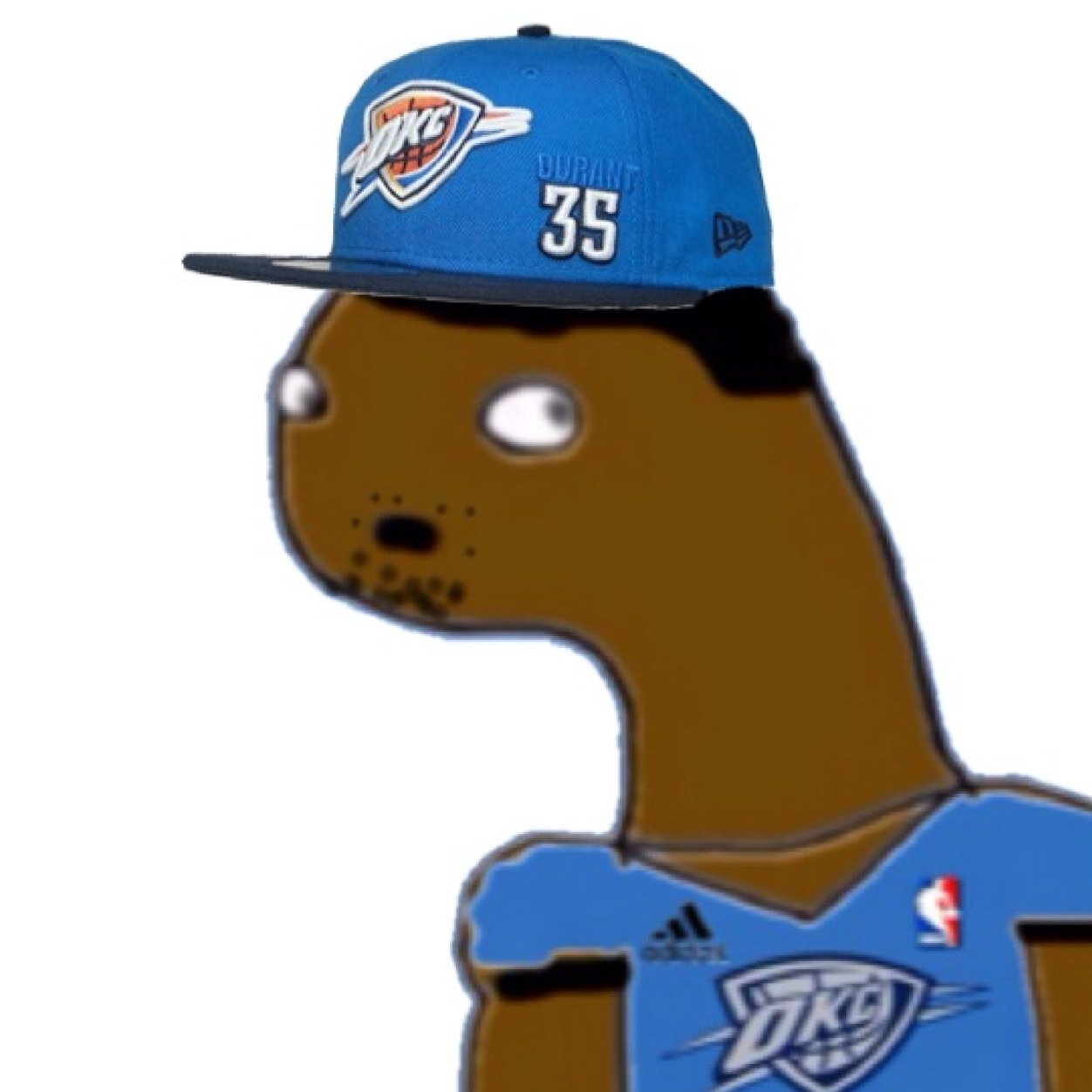 KevunDerantPls's profile picture. **MVP** I plae smol forwerd fur teh OKC Thundur Teh best plaiyur in teh leeg Lebrun is an fagit (Teh Best KD Toon Account)