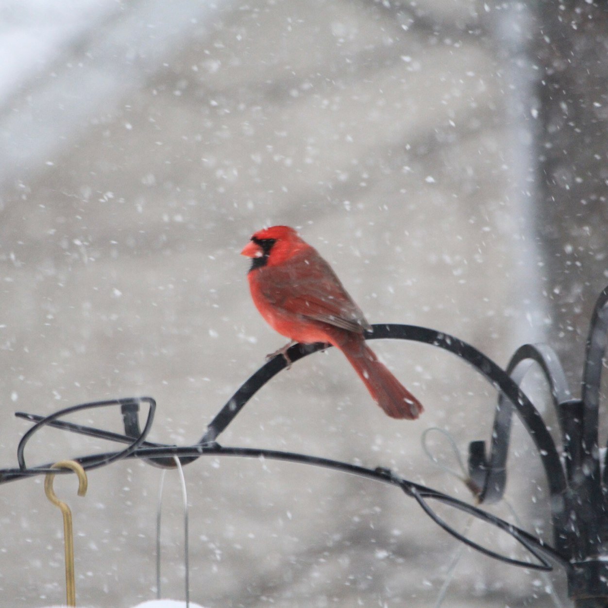 LaLaLinda48's profile picture. 