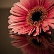 swagiiiiiiiiii_'s profile picture. 