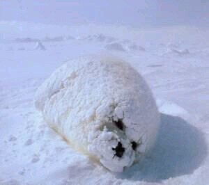 jx3t0's profile picture. 運動習慣。勉強習慣。独り言