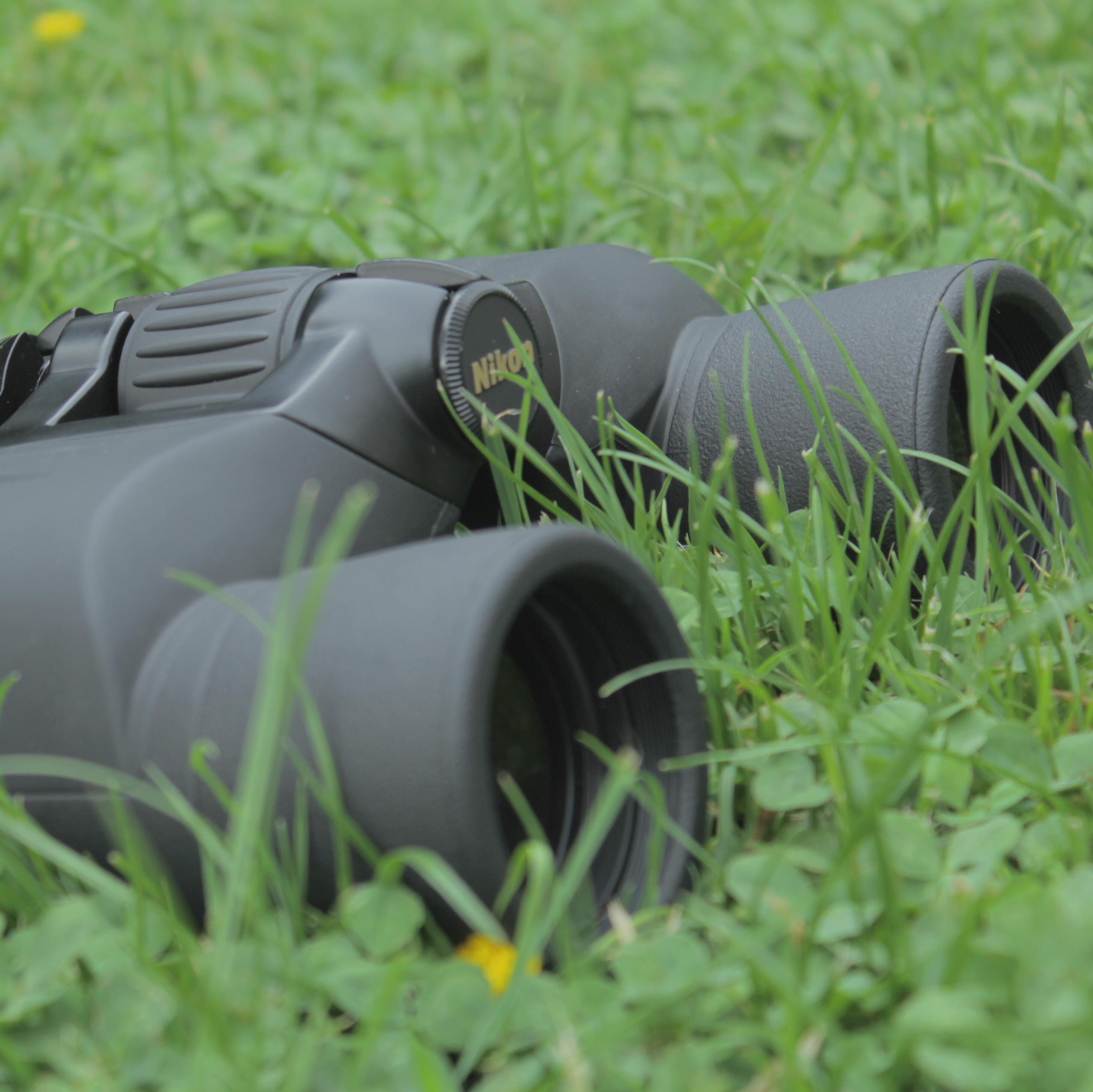 TheBirdNerdFilm's profile picture. When the parrot mascot for Coco Cola's ads escapes, Alan Argus is determined to beat local birding legend Bernie Samson to capture it!