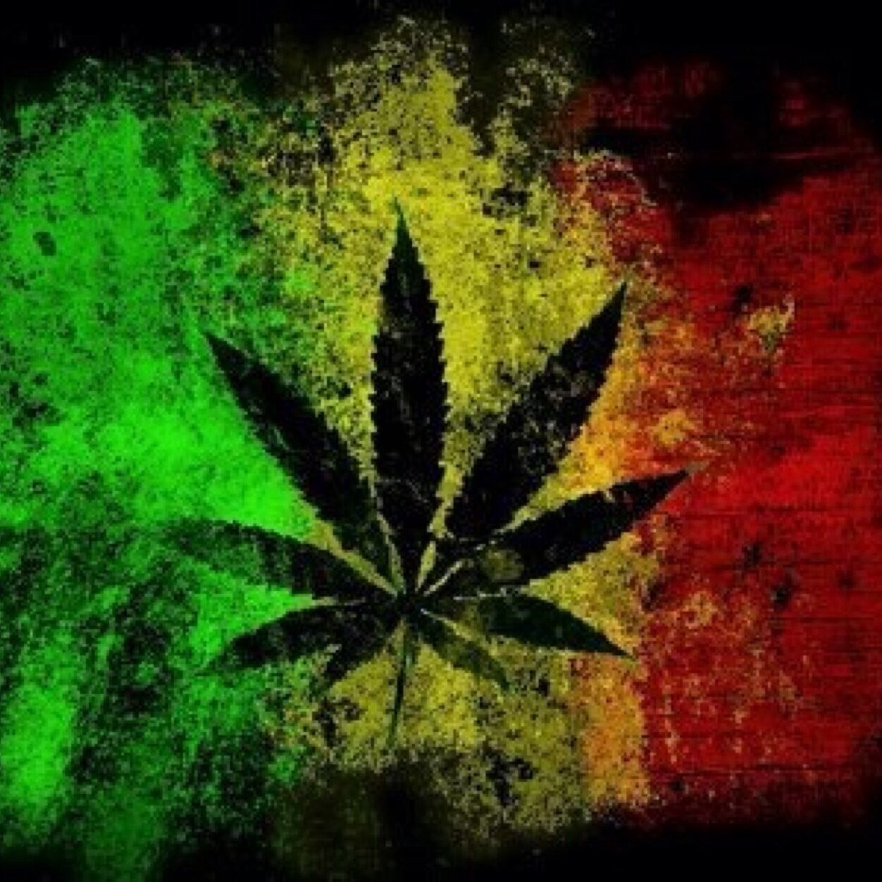 Follow These Stoners➡️➡️➡️@5StonedGirls