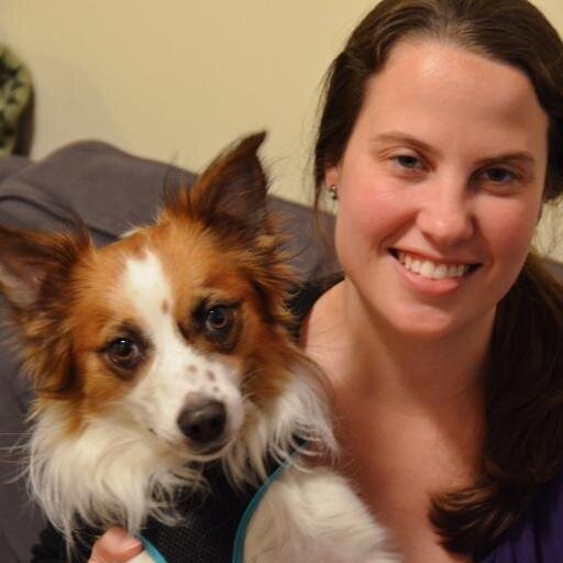 Books, dogs, basketball, Beyoncé