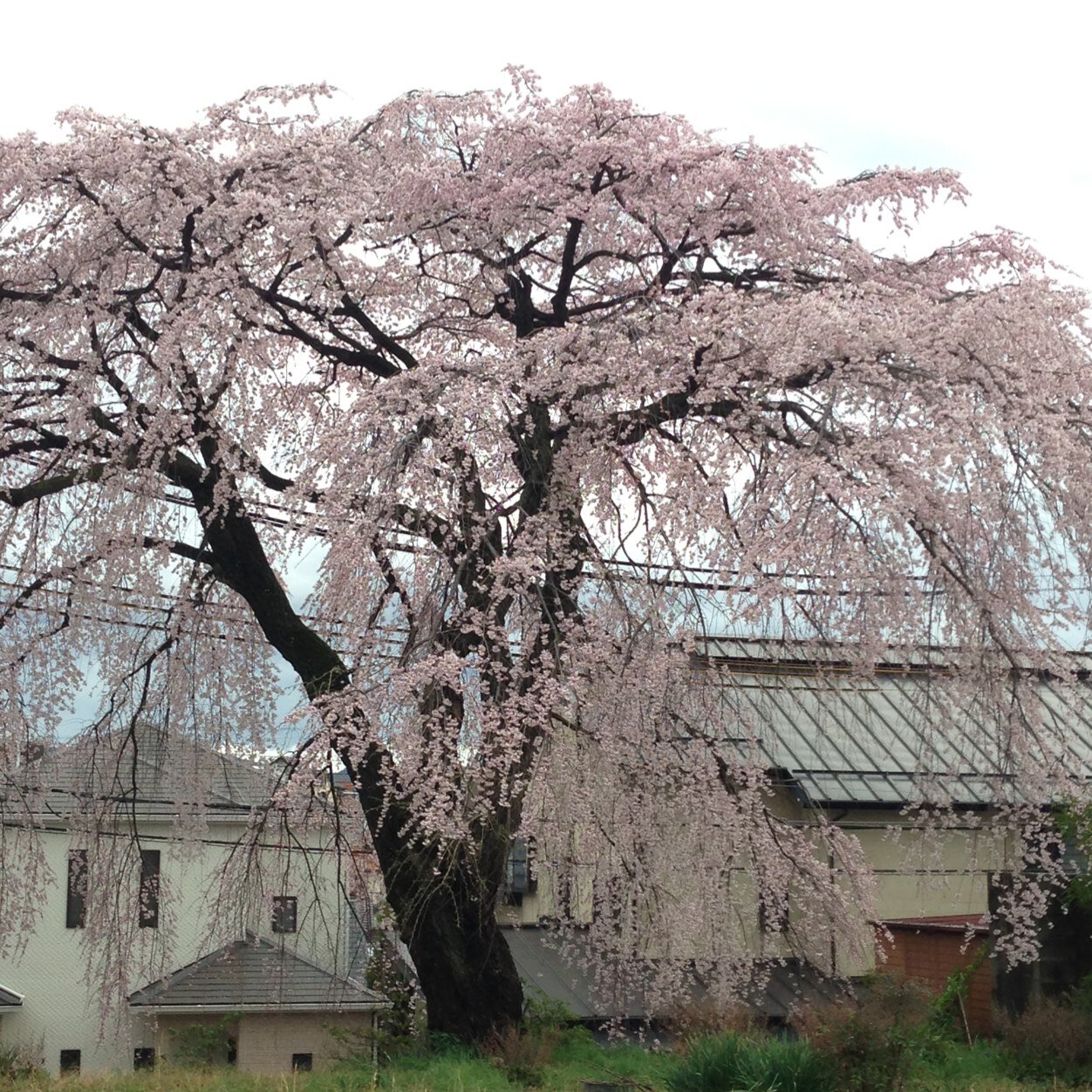 MOBarnaby's profile picture. 