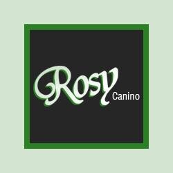 RosyCanino's profile picture. - Zootecnia
- Agricoltura e giardinaggio
- Ferramenta
- Sementi
- Addobbi floreali, piante e bouquet 
- Pellet