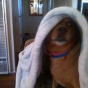 kelley maynard - @530kellmay - Twitter