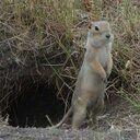 Marcus Boucher - @MarcusBoucher1 - Twitter