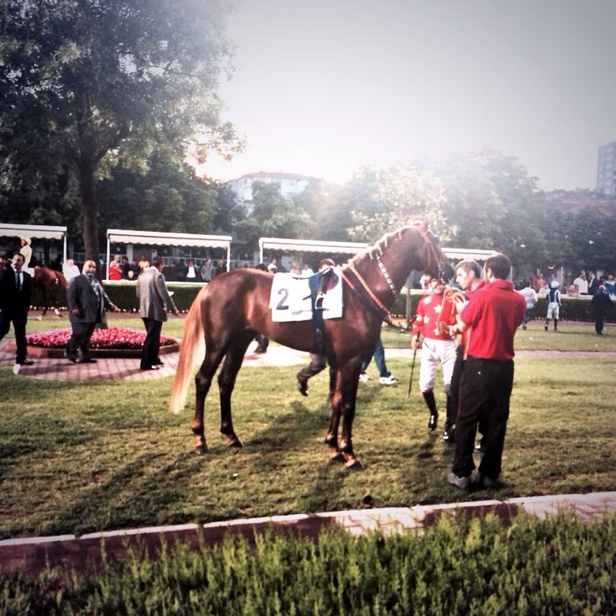 BariyerDibi1's profile picture. İstanbul Üniversitesi Meslek Yüksekokulu / Atçılık ve At Antrenörlüğü