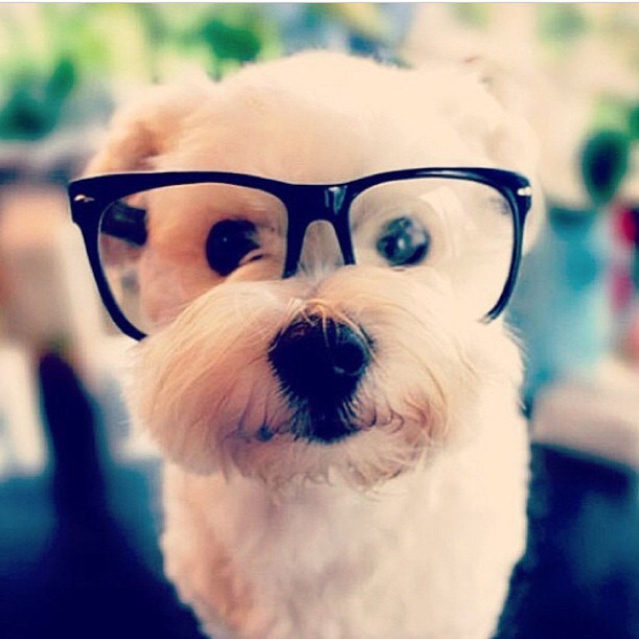 hallo!!